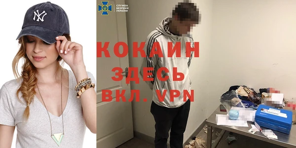 шишки Осташков