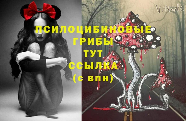 альфа пвп Алексеевка
