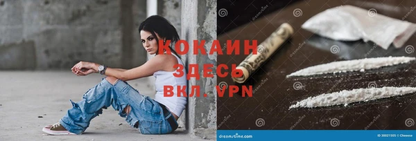 ешки Осинники
