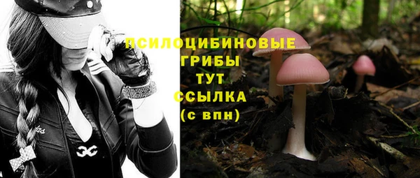 ешки Алзамай