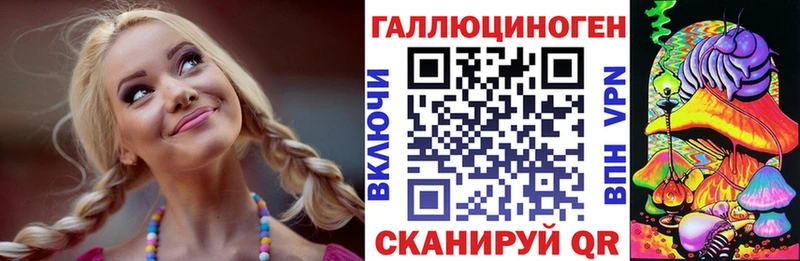 Галлюциногенные грибы Psilocybe  Бердск 