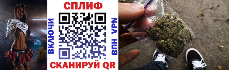 Бошки марихуана индика  купить наркотики сайты  Бердск 